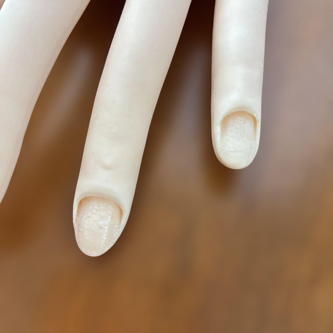 ネイリスト技能検定試験用JNEC認定モデルハンド チップ・シール付