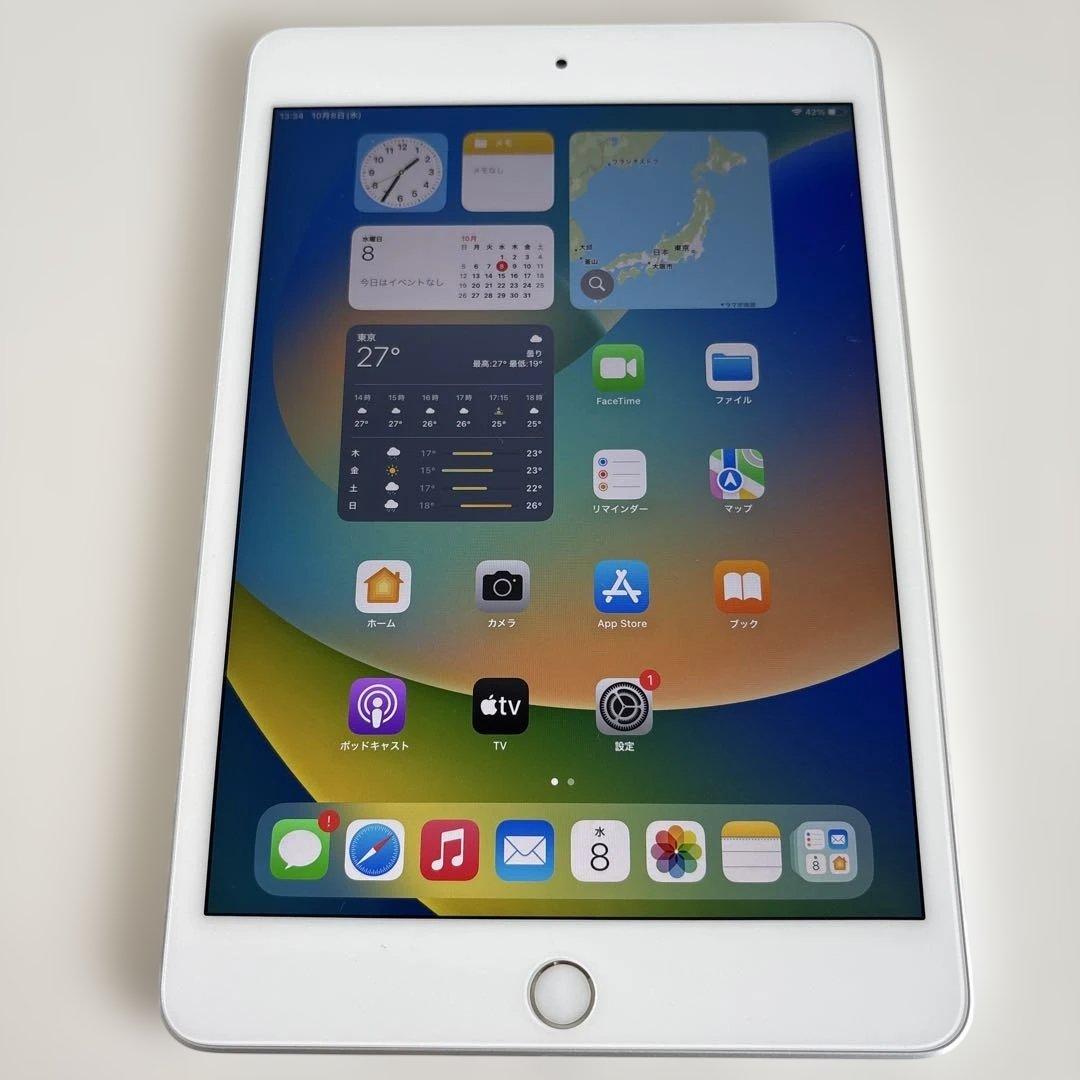 【美品】iPad mini5 Wi-Fi+Cellular モデル 256GB