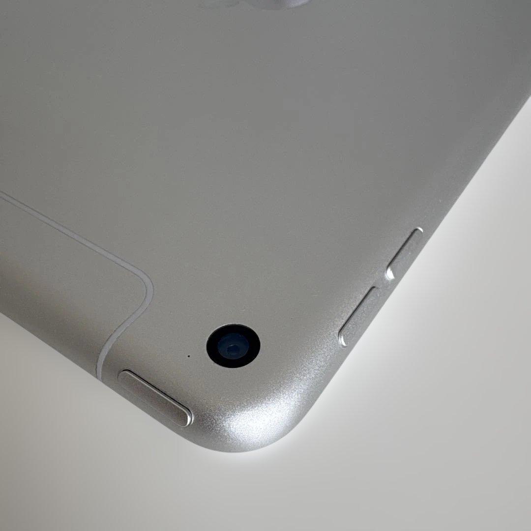 【美品】iPad mini5 Wi-Fi+Cellular モデル 256GB