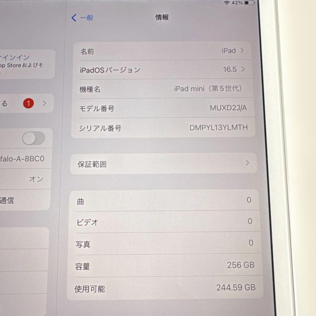 【美品】iPad mini5 Wi-Fi+Cellular モデル 256GB
