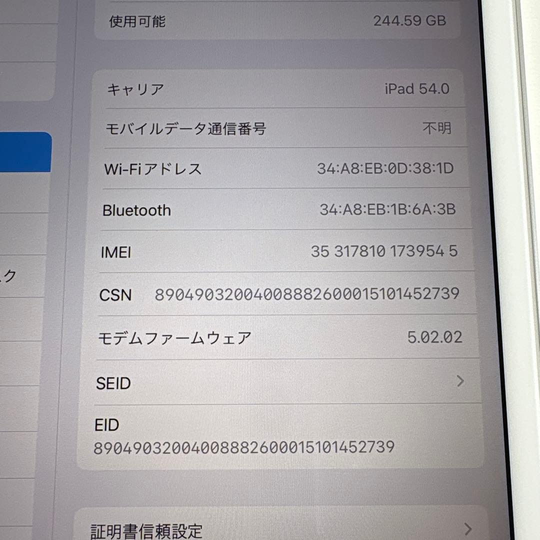 【美品】iPad mini5 Wi-Fi+Cellular モデル 256GB