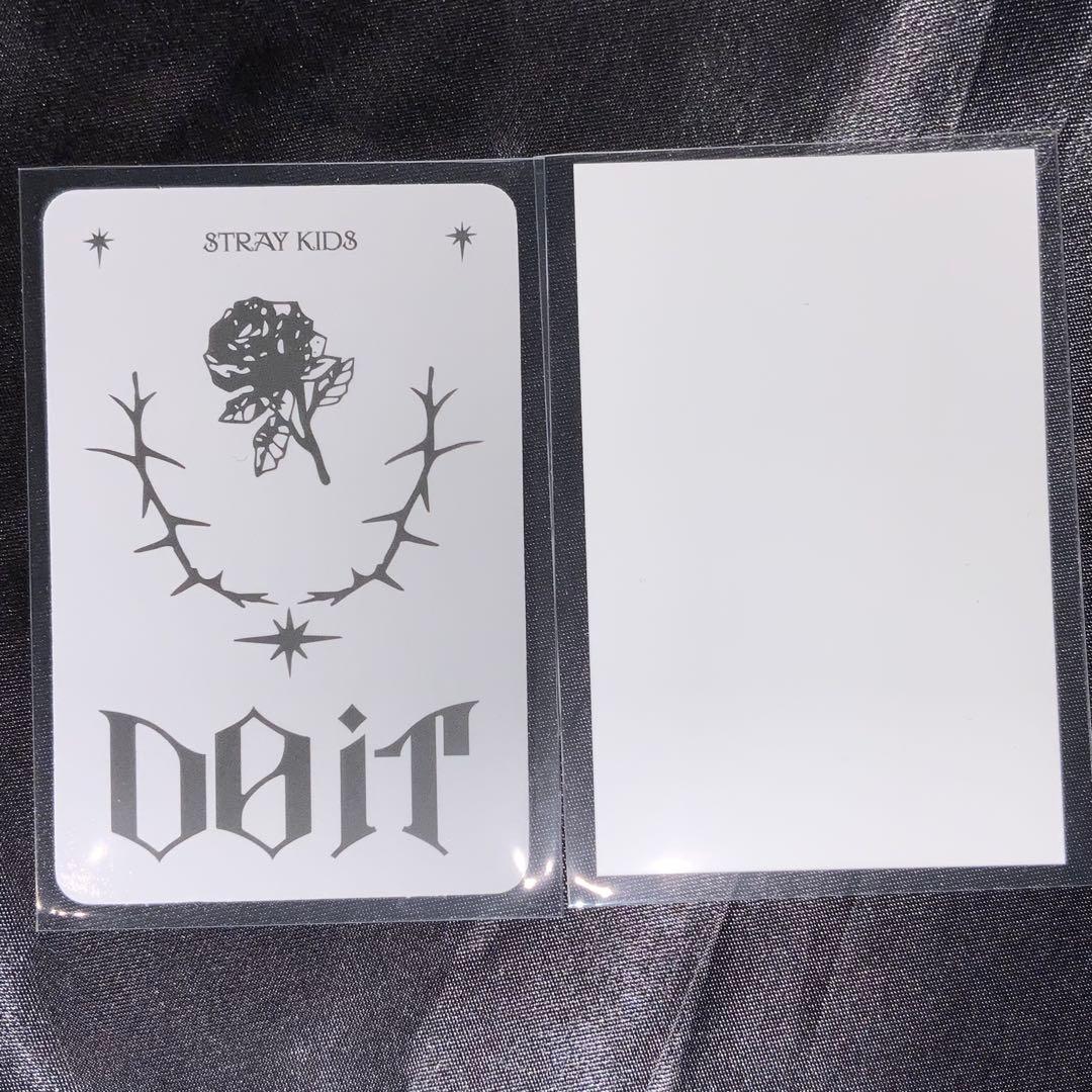 straykids skzoo スピーカー トレカ　ポラロイド　バンチャン