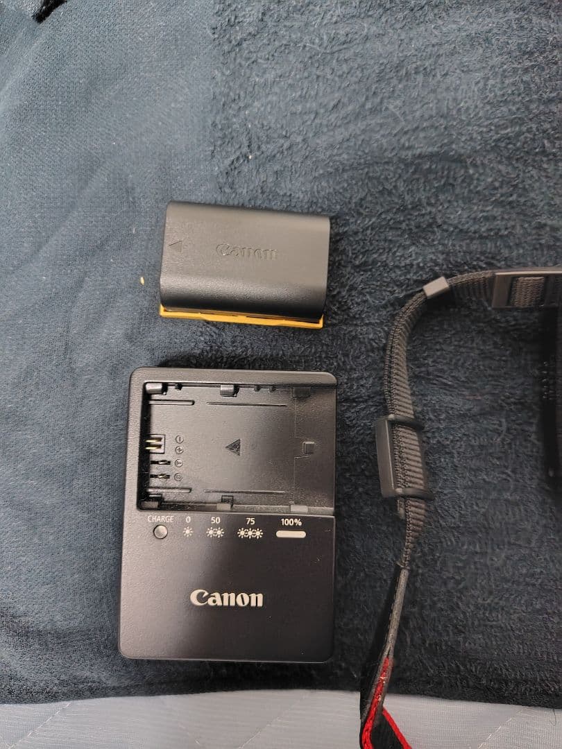 Canon EOS 80D デジタル一眼レフ 本体とレンズ付き