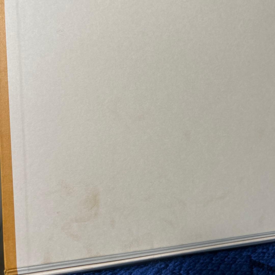 ルイヴィトン マフラー