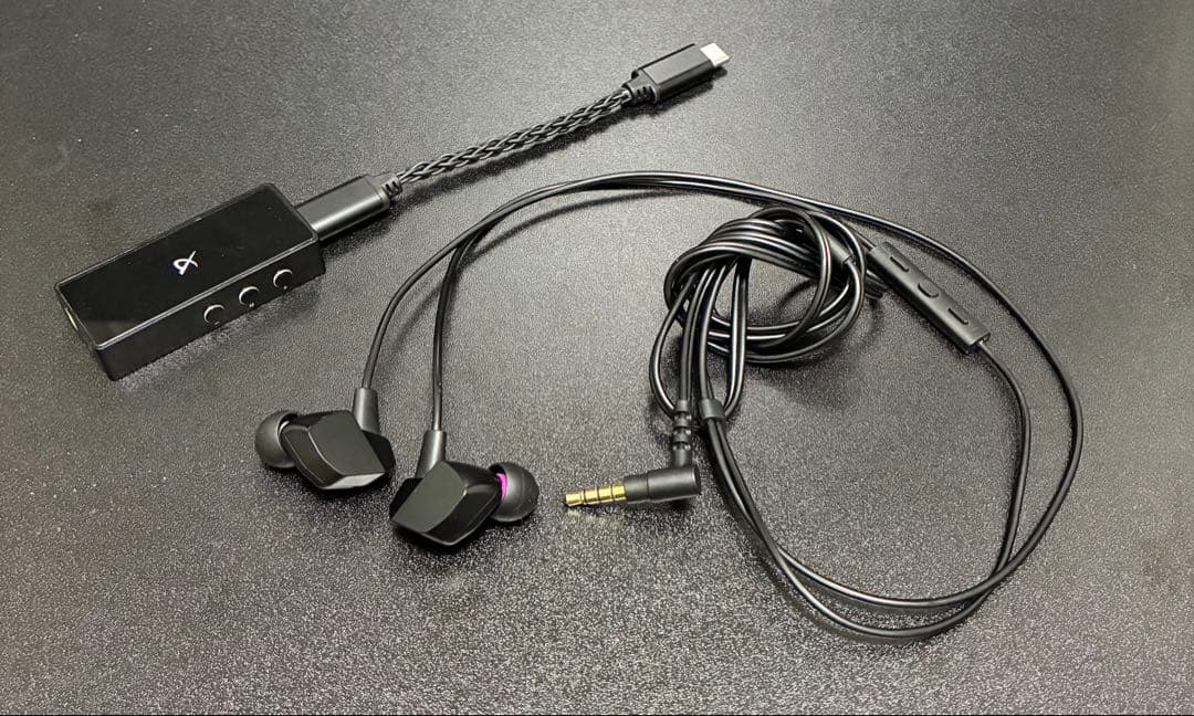 ファイナル VR3000 有線イヤホン Black Pearl 2点出音確認済み