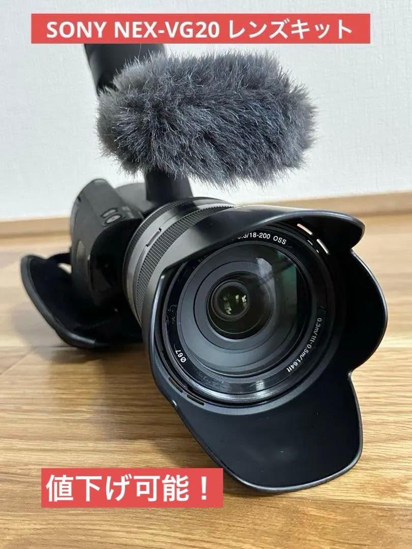 【動作品】SONY NEX-VG20 + E18-200mm F3.5-6.3