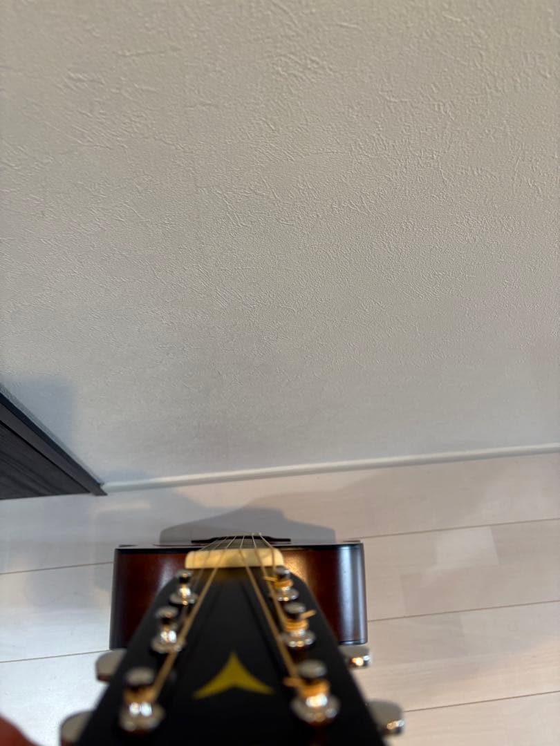 K.yairi w1 激鳴り　　りゅう