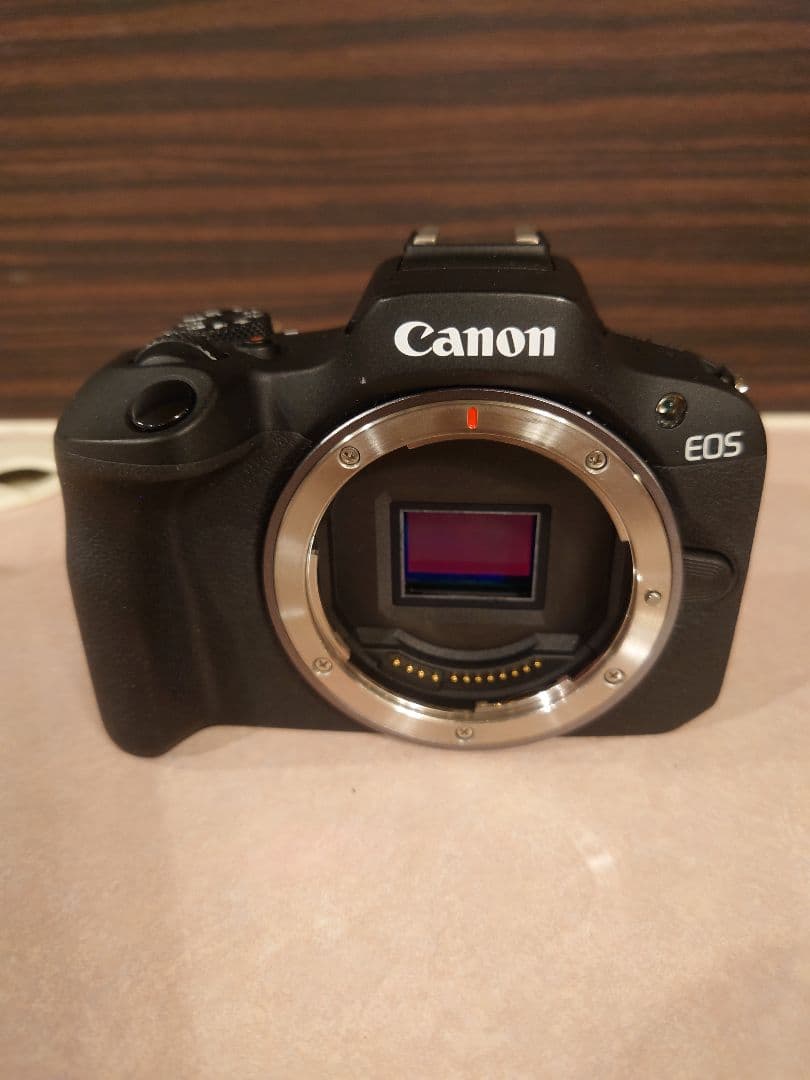 Canon EOS R100 ミラーレス一眼 本体