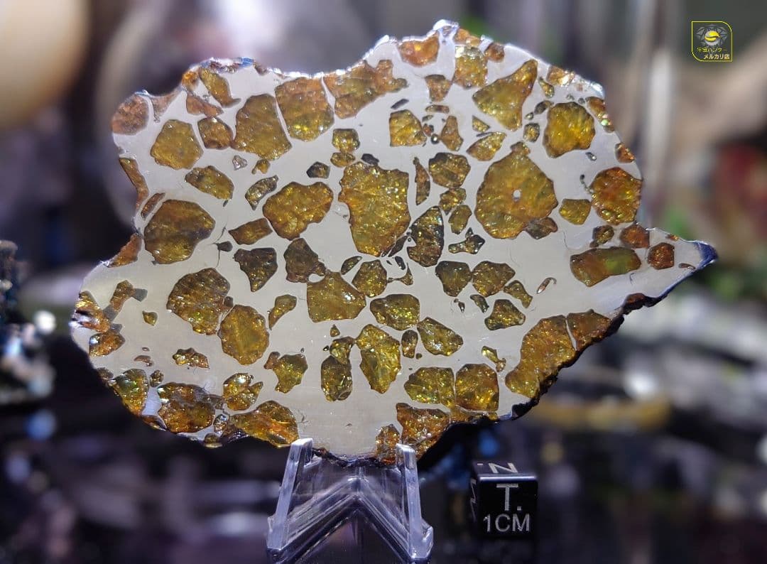 トッポー★65.59g イミラック パラサイト 隕石 Imilac⭐⭐⭐