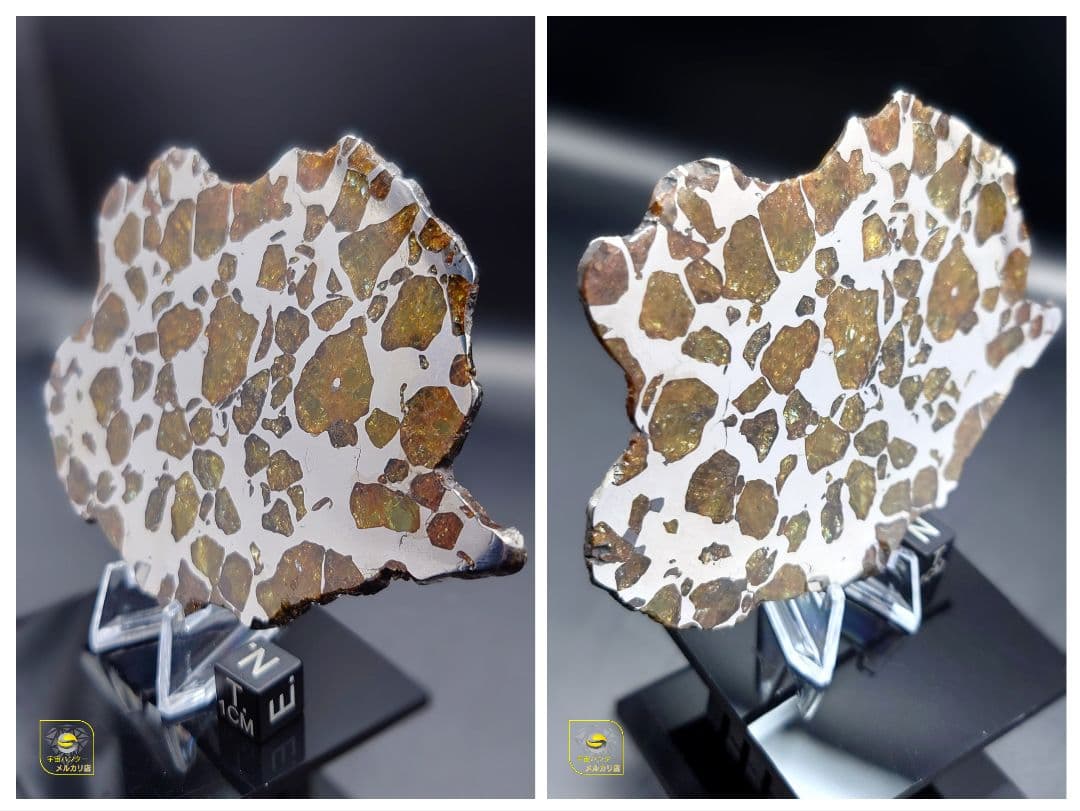 トッポー★65.59g イミラック パラサイト 隕石 Imilac⭐⭐⭐