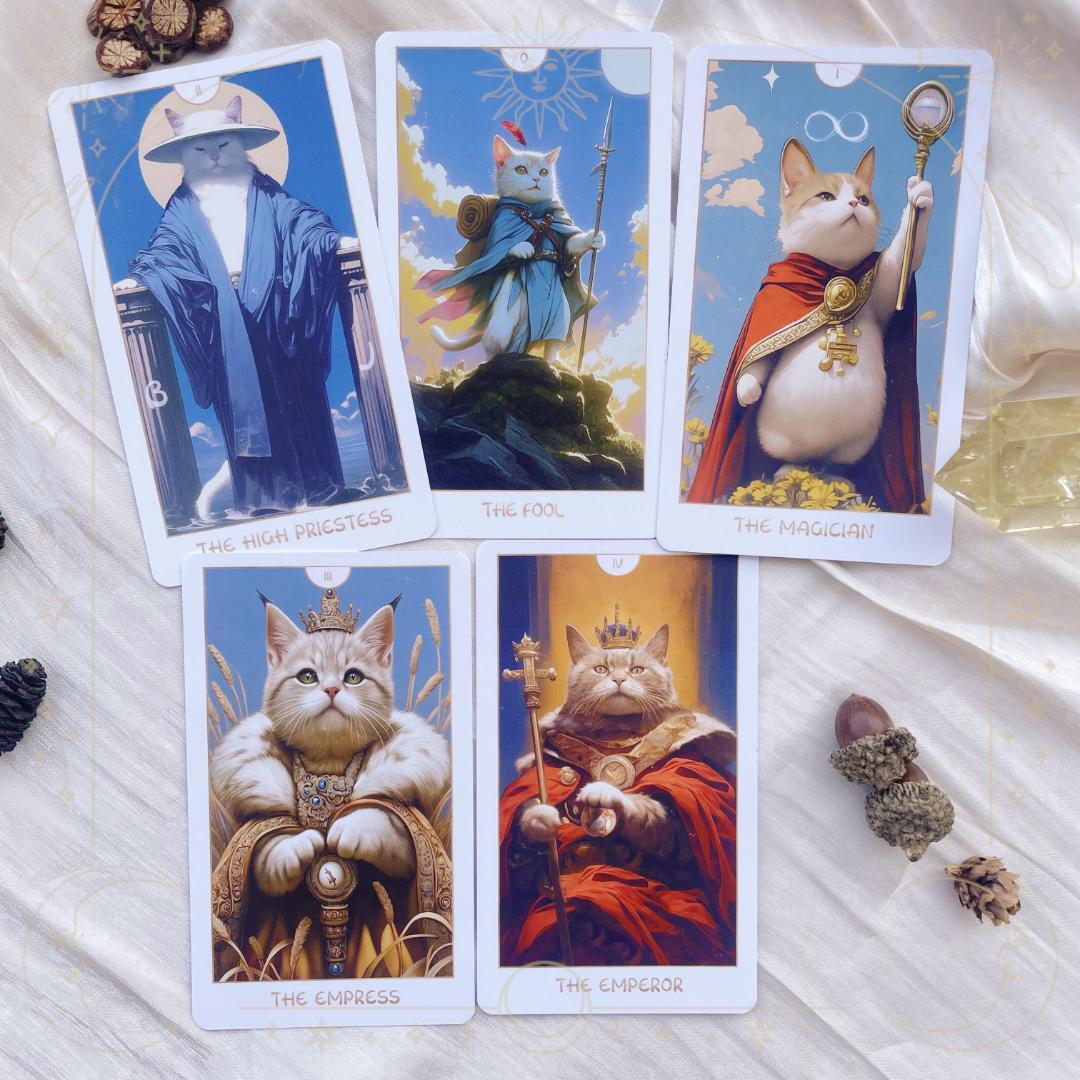 Daimoyu★タロット／枠有ver