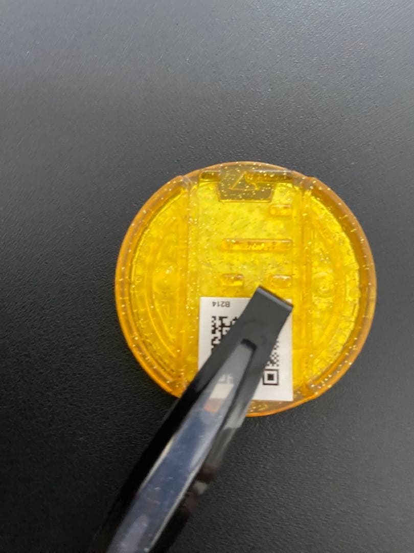 ブシニャン　レジェンドメダル