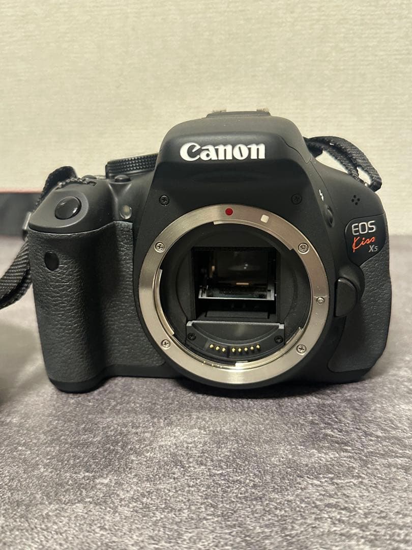 花　一眼レフレンズのみ