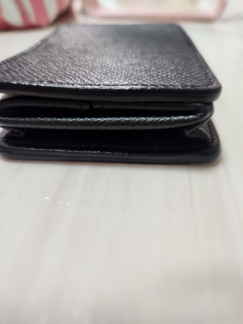 ルイヴィトン　タイガレザーケース　ケース