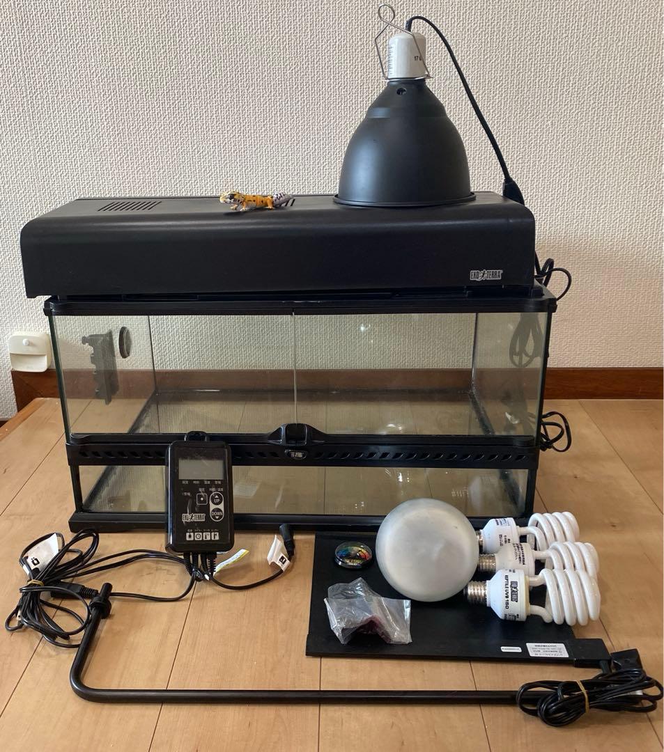 ★ペント様★ 飼育セット　飼育スターターキット