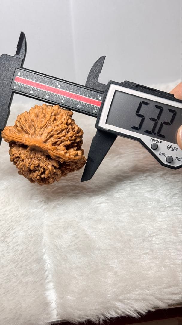 极品矮桩官帽53