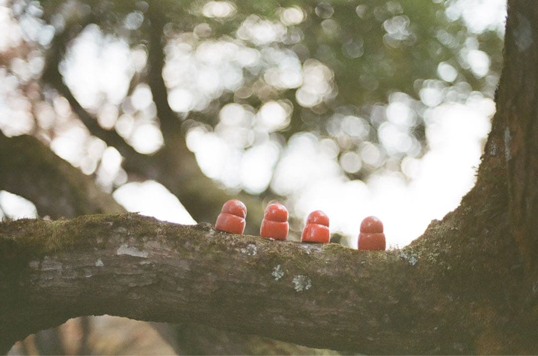 【完動品】Nikon F3 フィルム一眼レフカメラ