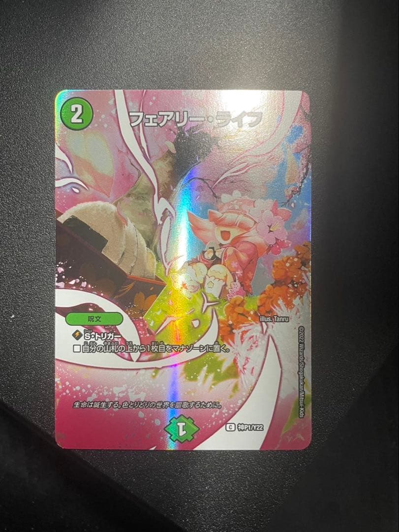 フェアリーライフ 春夏秋冬 神アート