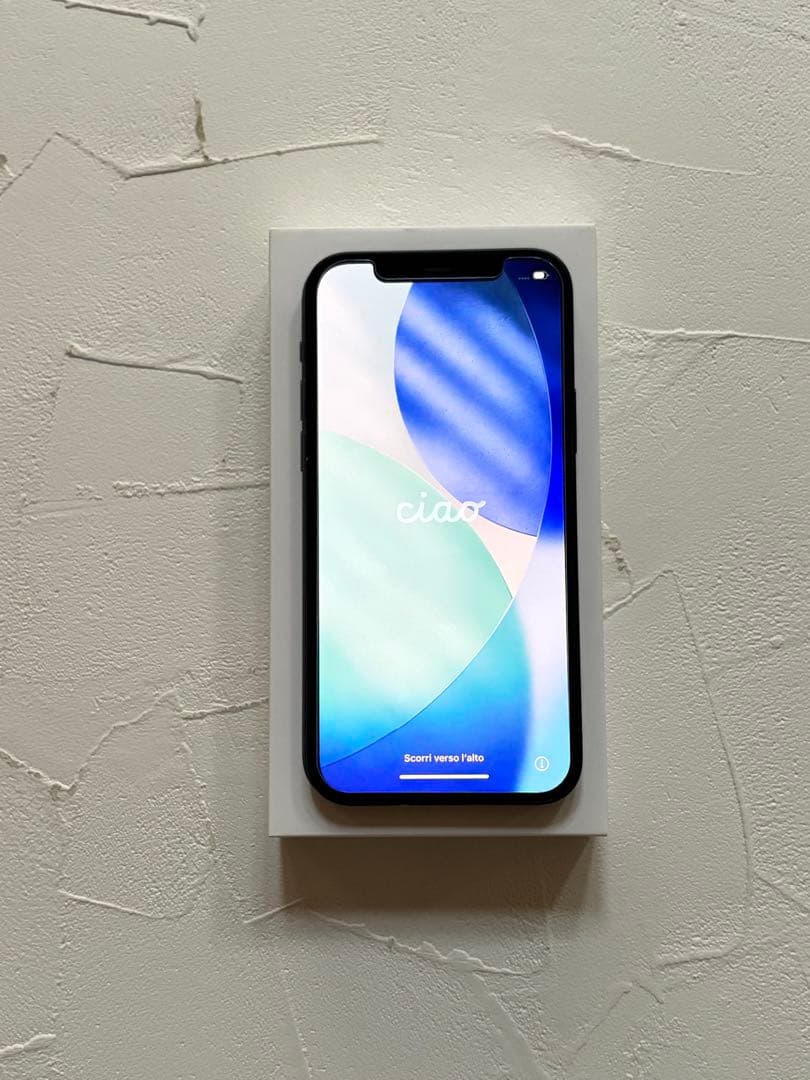 Apple iPhone 12 128GB ブラック　中古　ケーブル未使用　箱付