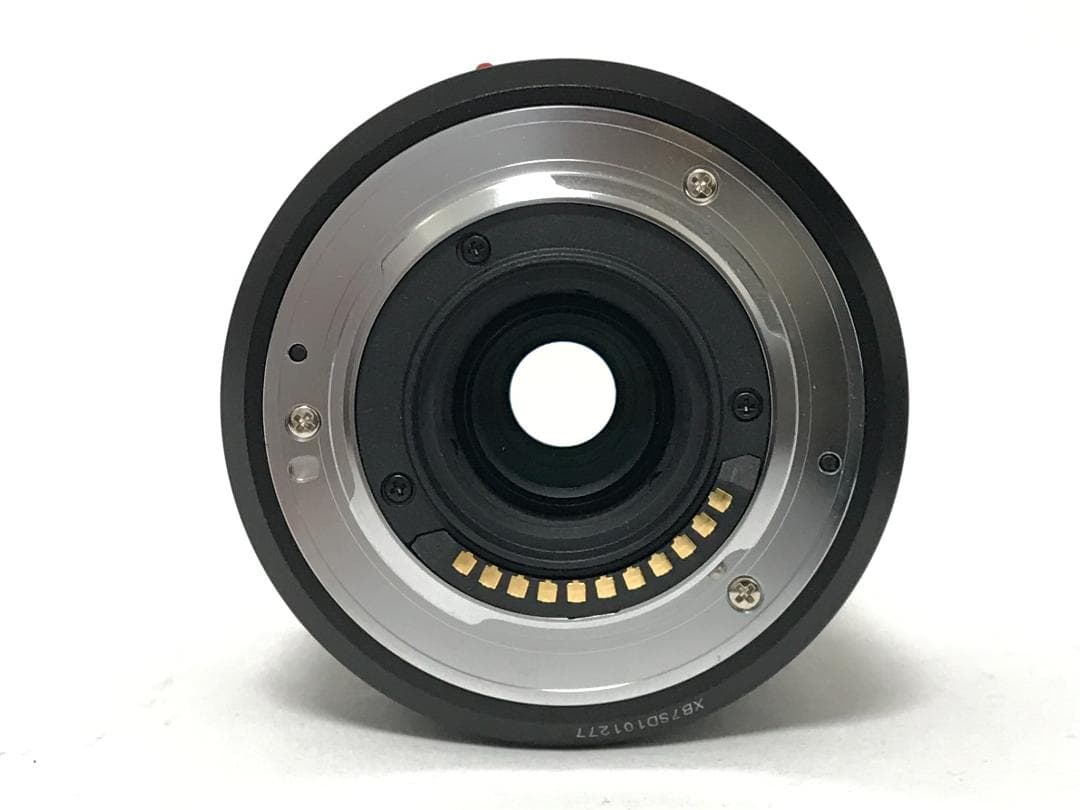 LUMIX G V 45-150mm F4-5.6 MEGA　#9305