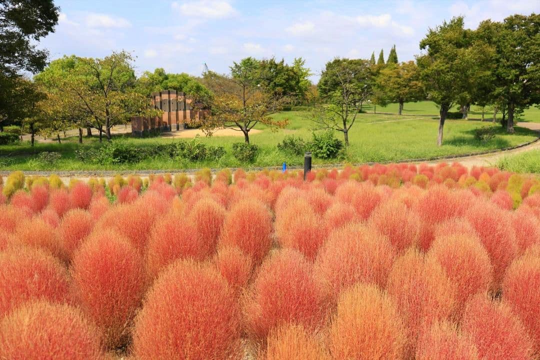 EF-S18-55mm F4-5.6 IS STM（シルバー）