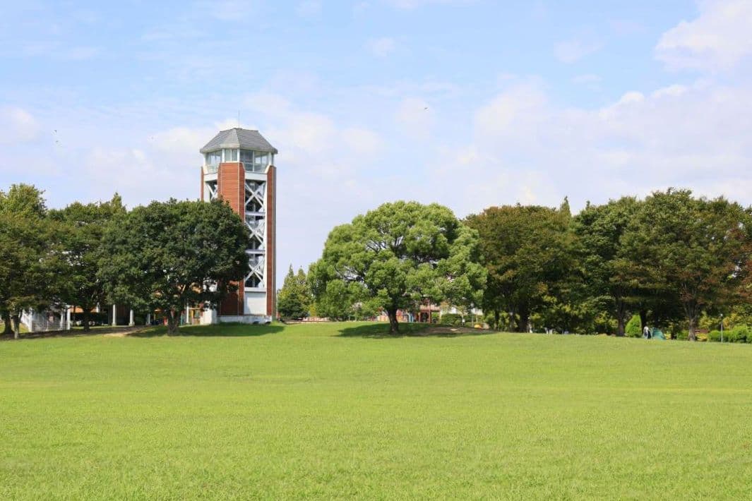 EF-S18-55mm F4-5.6 IS STM（シルバー）