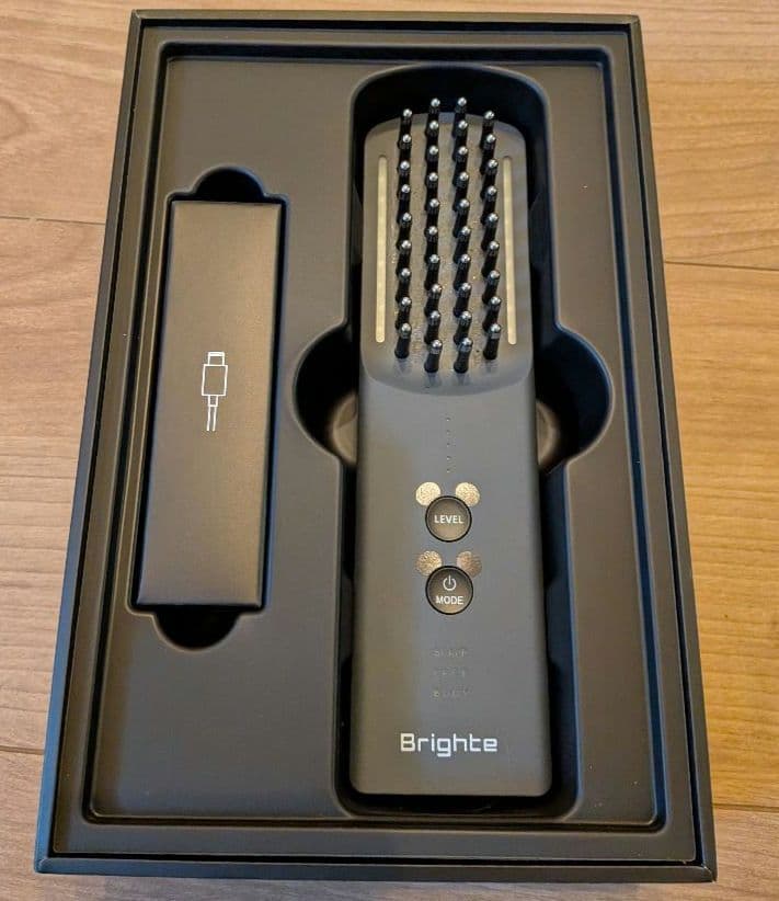 Brightee EEK BRUSH 美顔器　スカルプ　全身ケア　ミッキーマウス