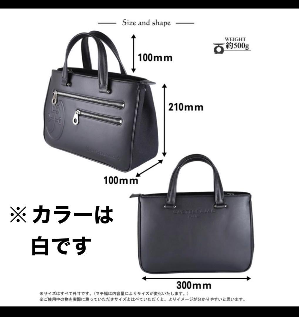 極美品 カステルバジャック トリエⅡ ドライビングトート 075502 ホワイト