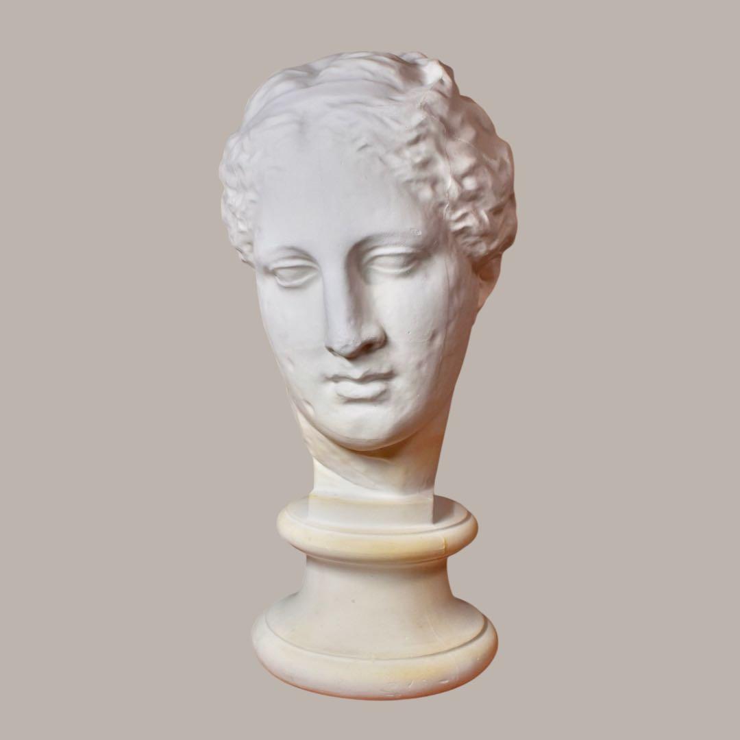 石膏像　古代ヴィーナス　アバタのヴィーナス　首像　デッサン