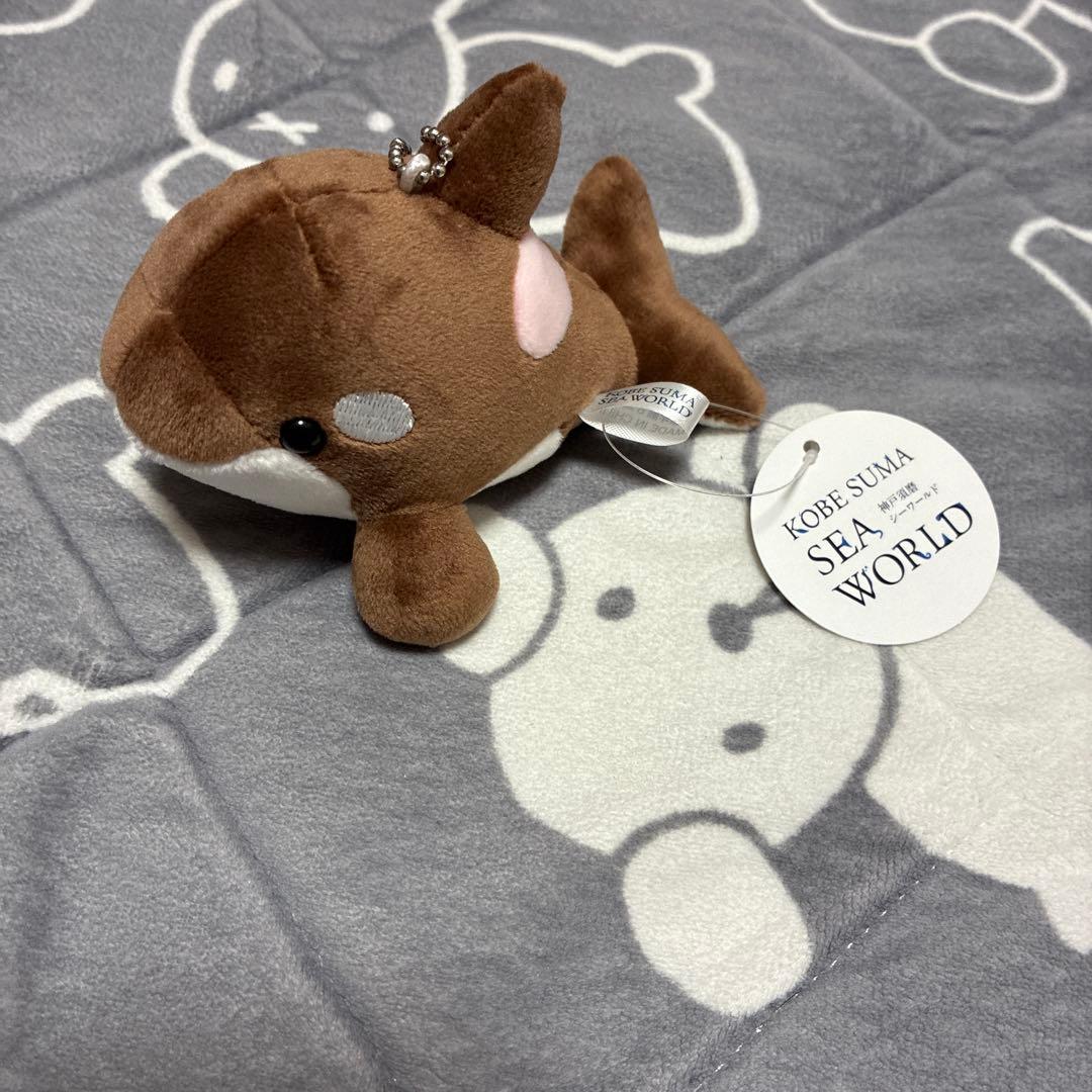 ゆ*ん様 須磨シーワールド　シャチ　ショコラデュオカラー　ぬいぐるみ　キーホルダ