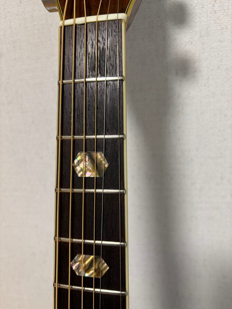 後期型！Morris モーリス　TF W-50 バックハカランダ3p