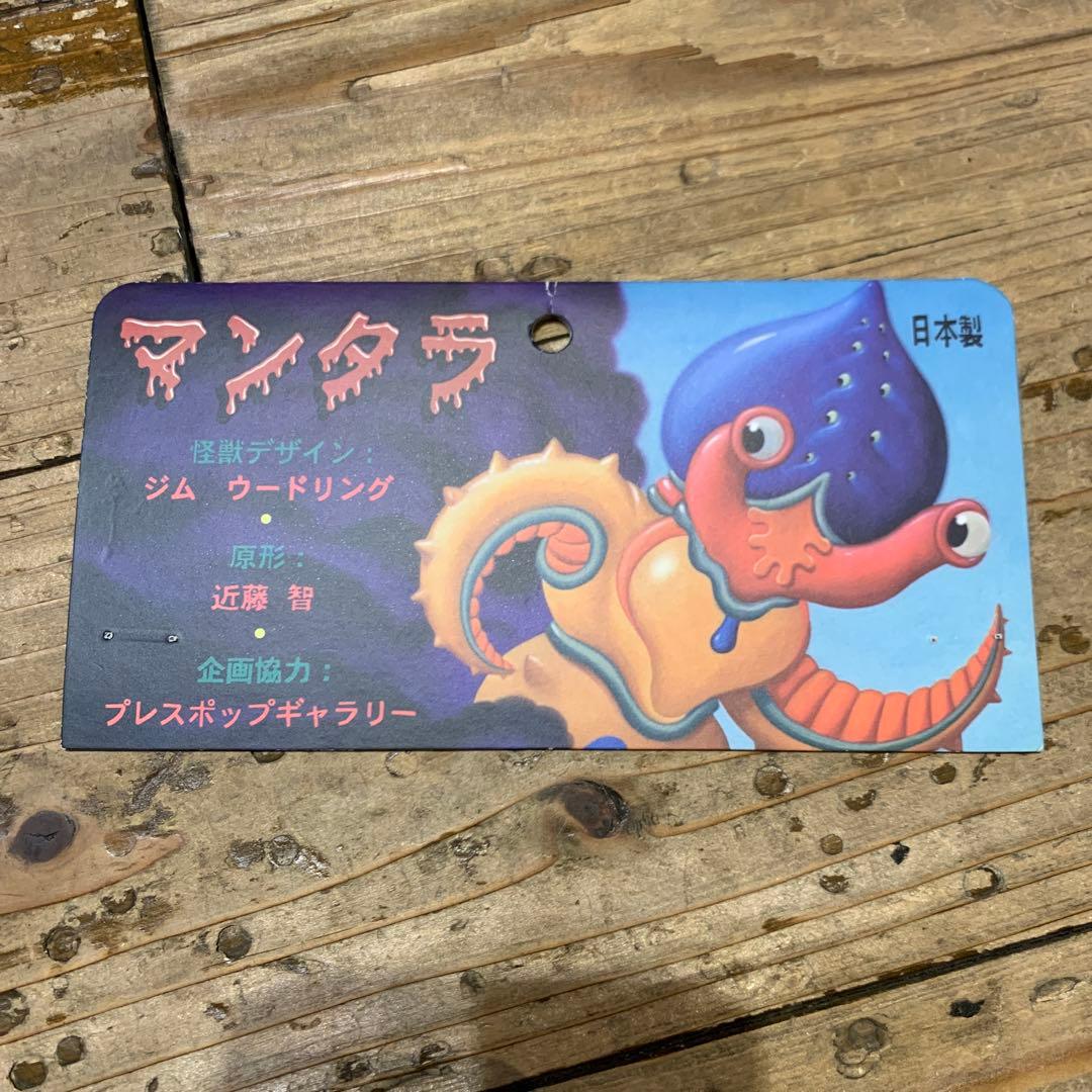 R*r様 コスモリキッド マンタラ　ジム ウードリング