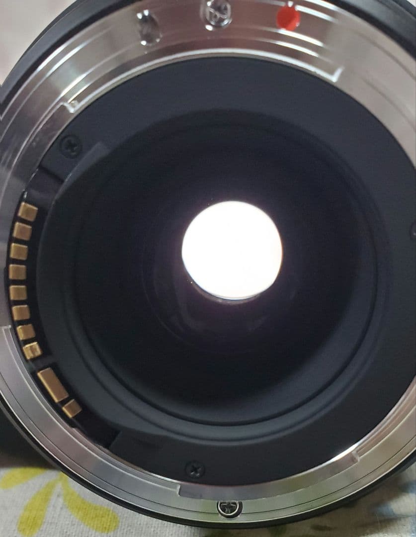 美品 SIGMA DG 50-500mm F4.5-6.3 Canon用