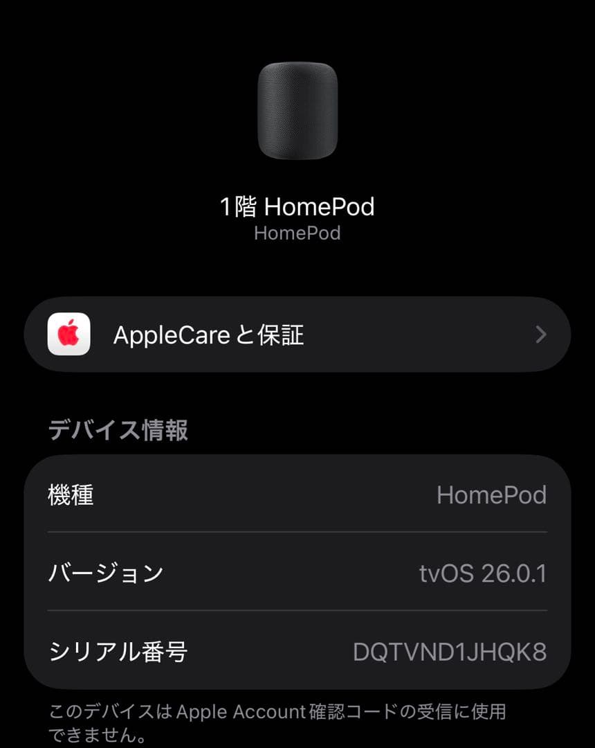 Apple Pod 第1世代 スペースグレー 2台セット