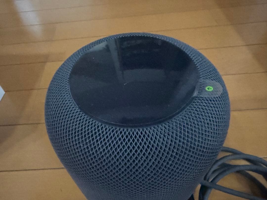 Apple Pod 第1世代 スペースグレー 2台セット