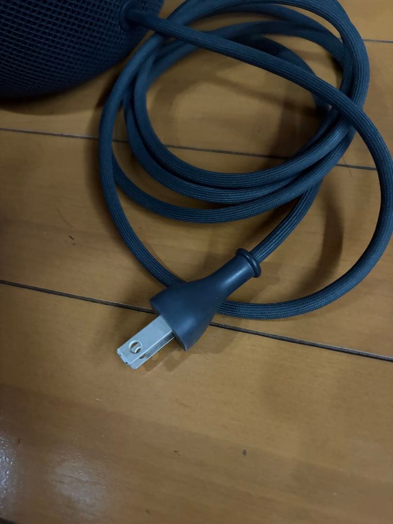 Apple Pod 第1世代 スペースグレー 2台セット