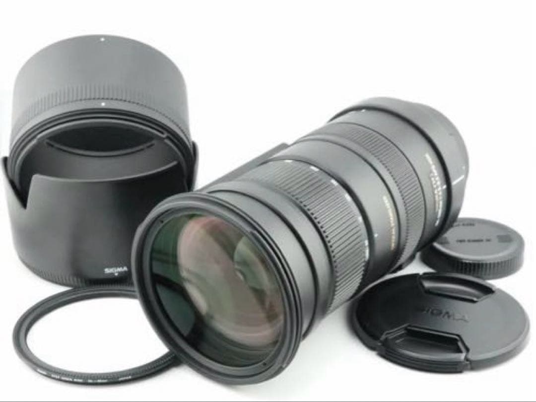 レンズ(ズーム) SIGMA APO 50-500mm F4.5-6.3 DG OS HSM