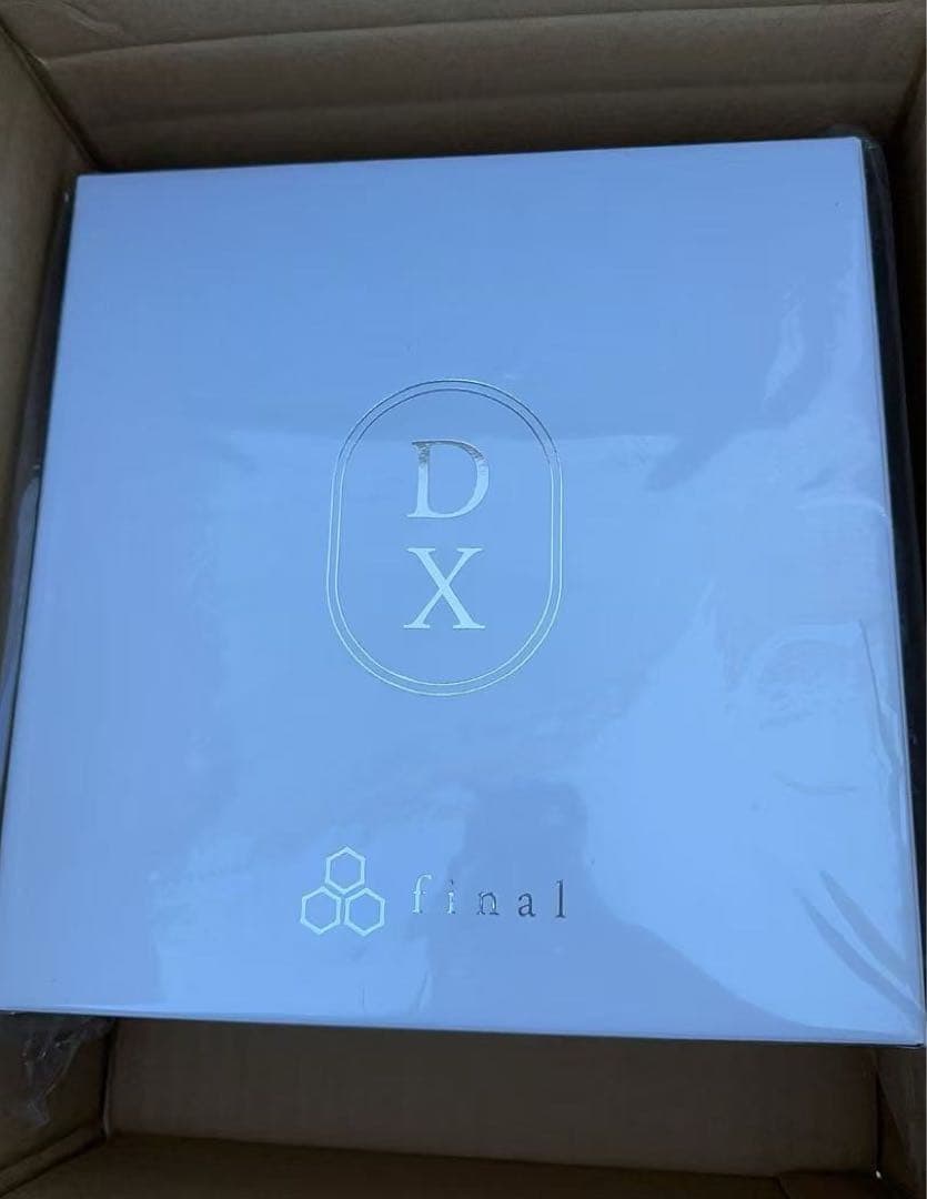 未使用 美品 final DX3000 CL 【付属品完備】