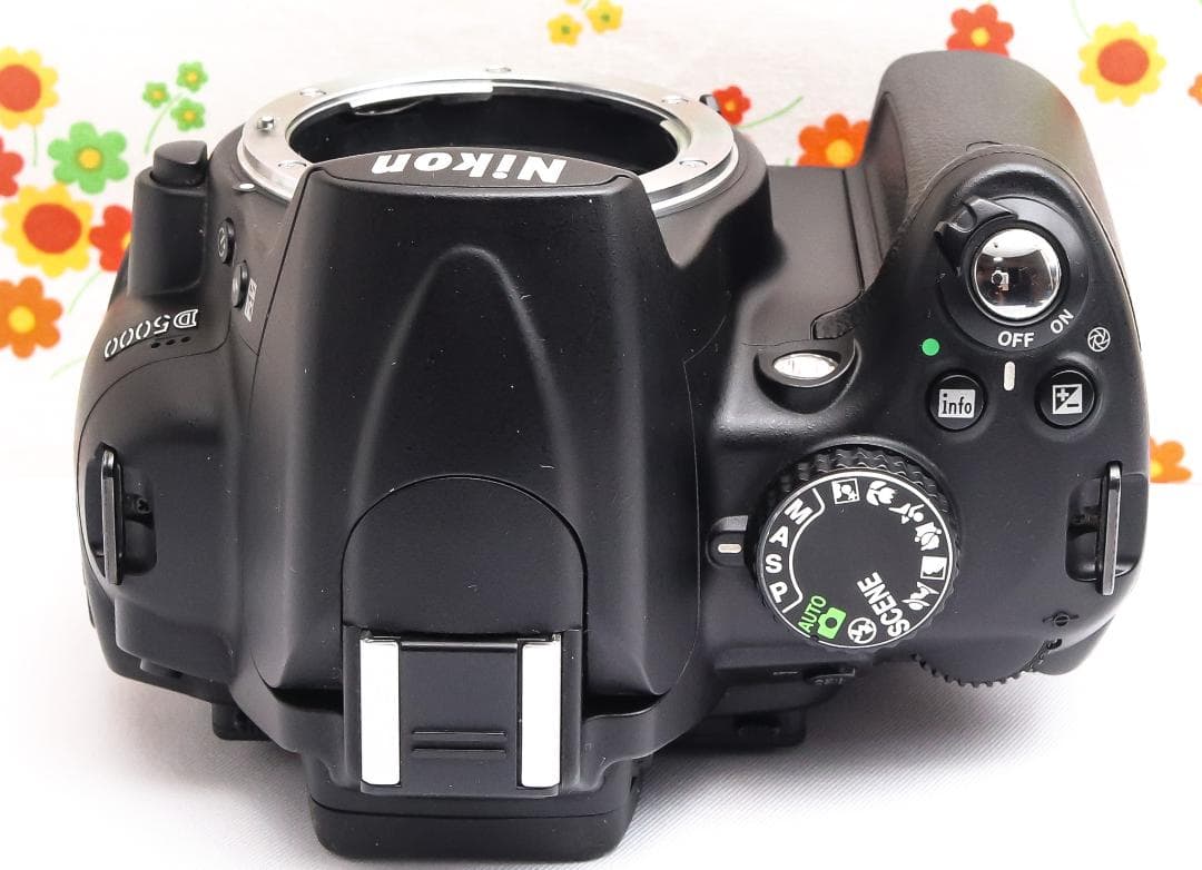 Nikon D5000☆高画質☆動画撮影☆スマホに送れる！☆デジタル一眼レフ