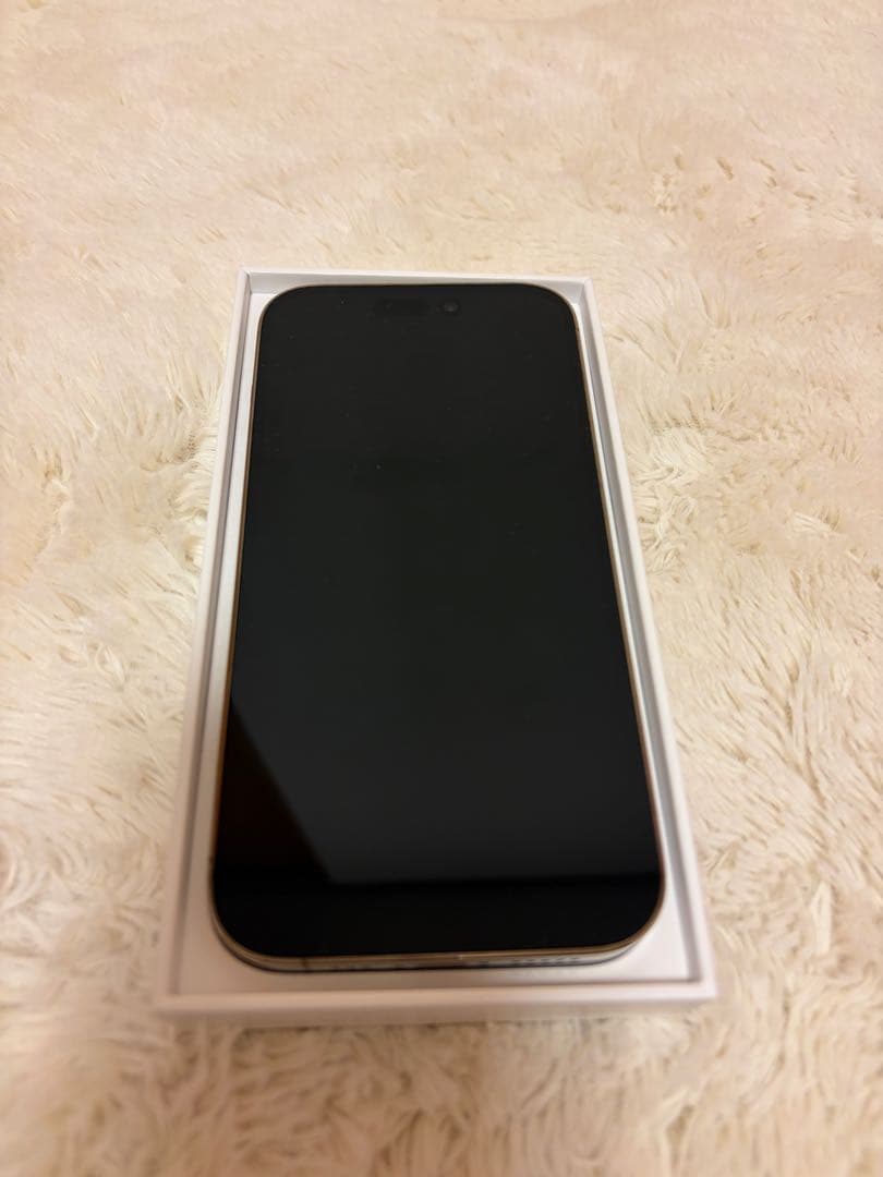 【10月末までの出品】iPhone 14 Pro