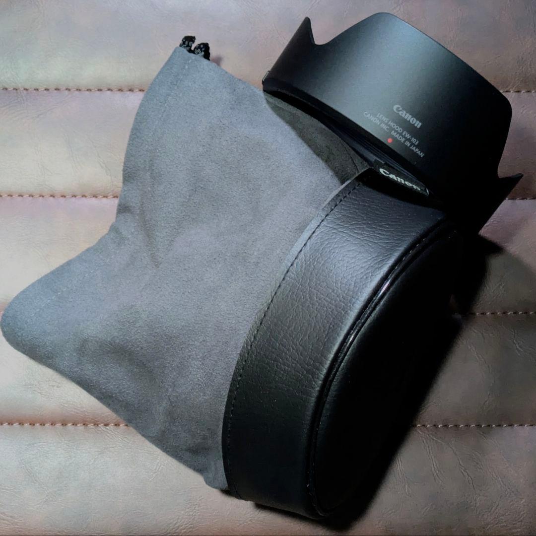 キャノン Canon RF 28-70mm F2 L USM