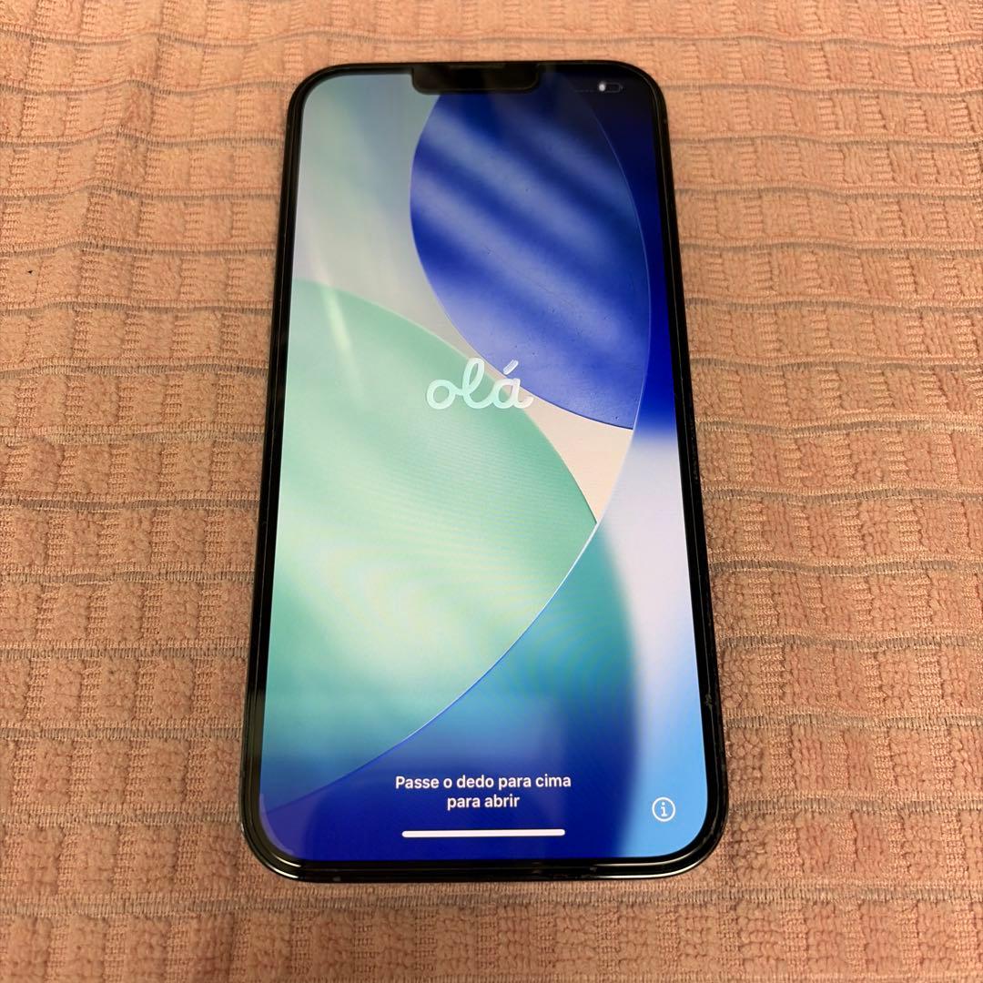 Apple iPhone 13 Pro Max シエラブルー本体