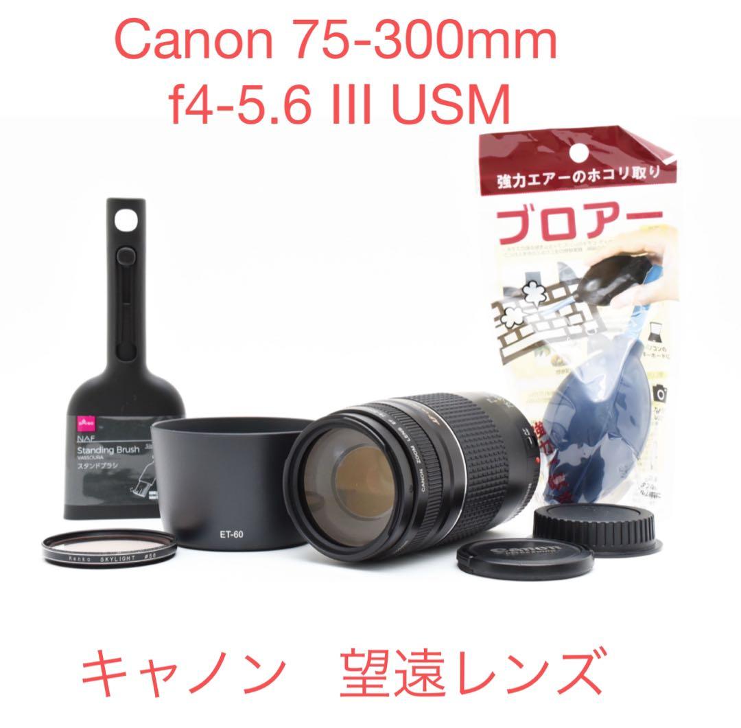 望遠レンズ /フード付き/Canon EF75-300 Ⅲ USM