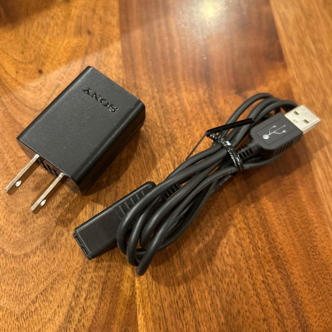 【訳あり】SONY HDR-CX535 ビデオカメラ ボルドーブラウン