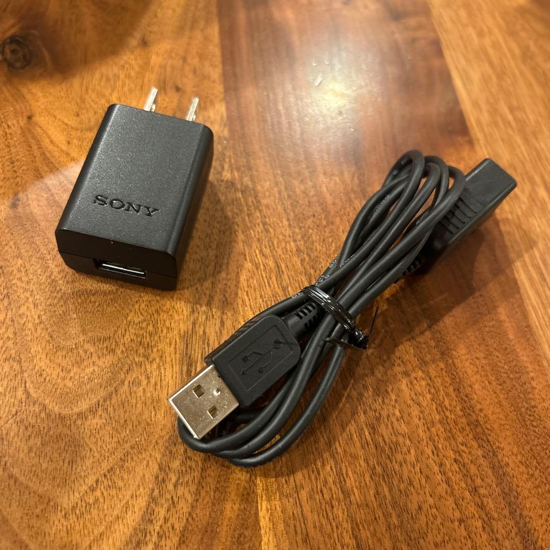 【訳あり】SONY HDR-CX535 ビデオカメラ ボルドーブラウン