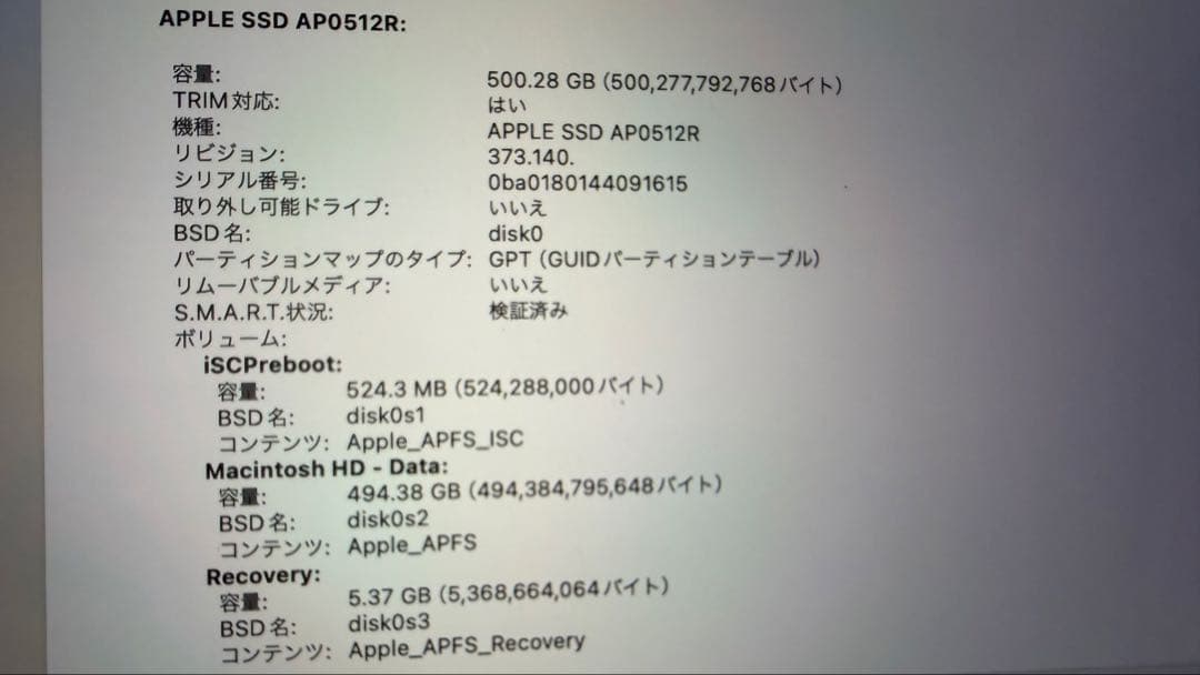 【大画面 M1】MacBook Pro 16インチ M1 Proチップ 2021
