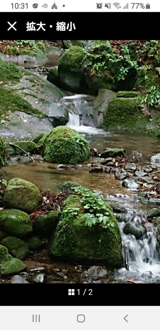 No2 専用です。ご確認中☆