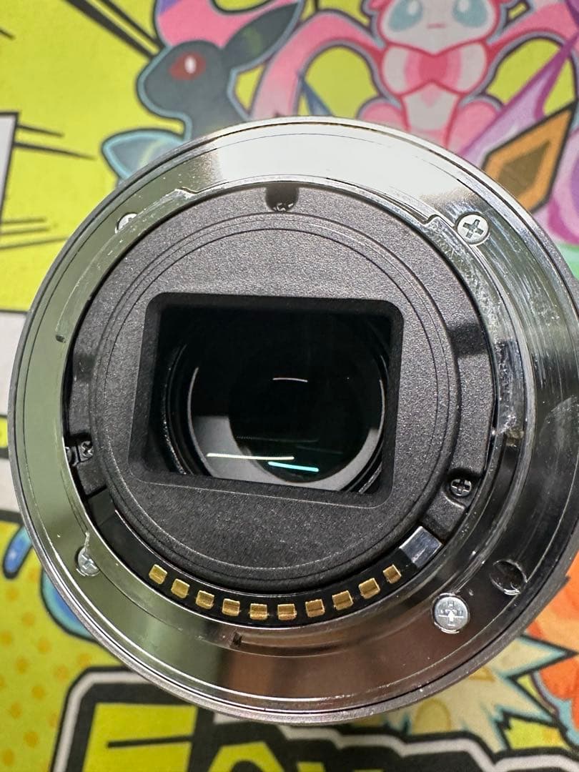 SONY ソニー 55-210mm f4.5-6.3 SEL55210