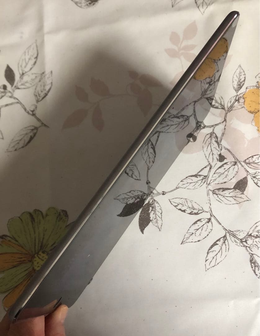 【値下げ】美品iPad Air2 wi-fi32G バッテリー元気ケースシート