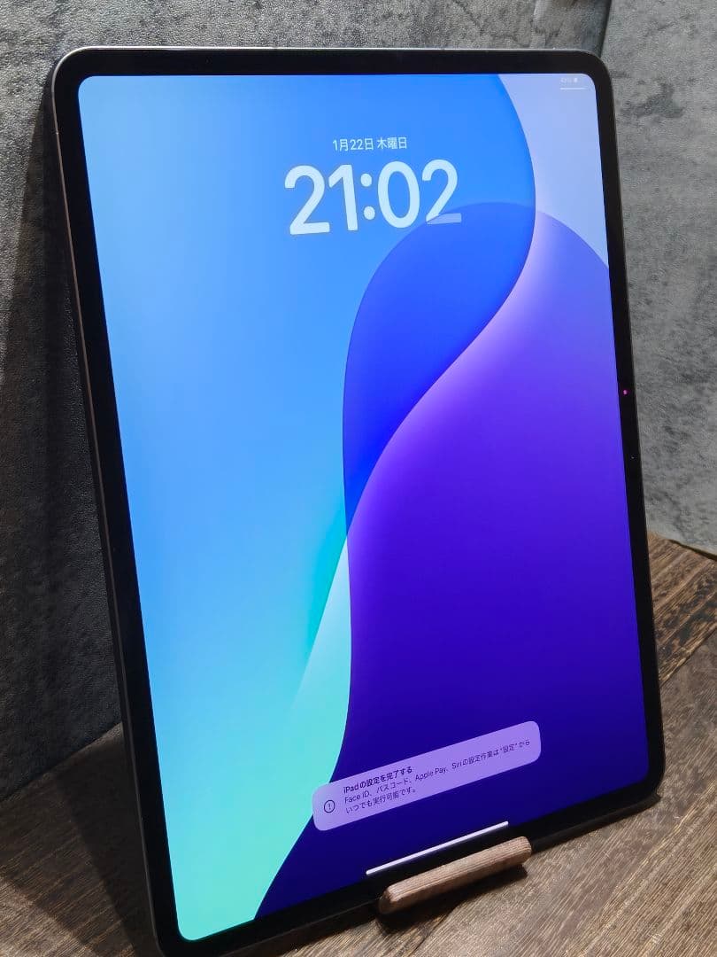 美品 iPad Pro(M4) 13インチ セルラーモデル 256GB